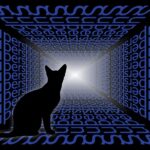 現代だから解明できた日本の迷信&言い伝えの真実10選!